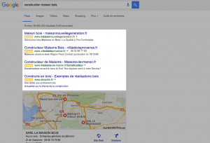 Annonces premium Google Adwords